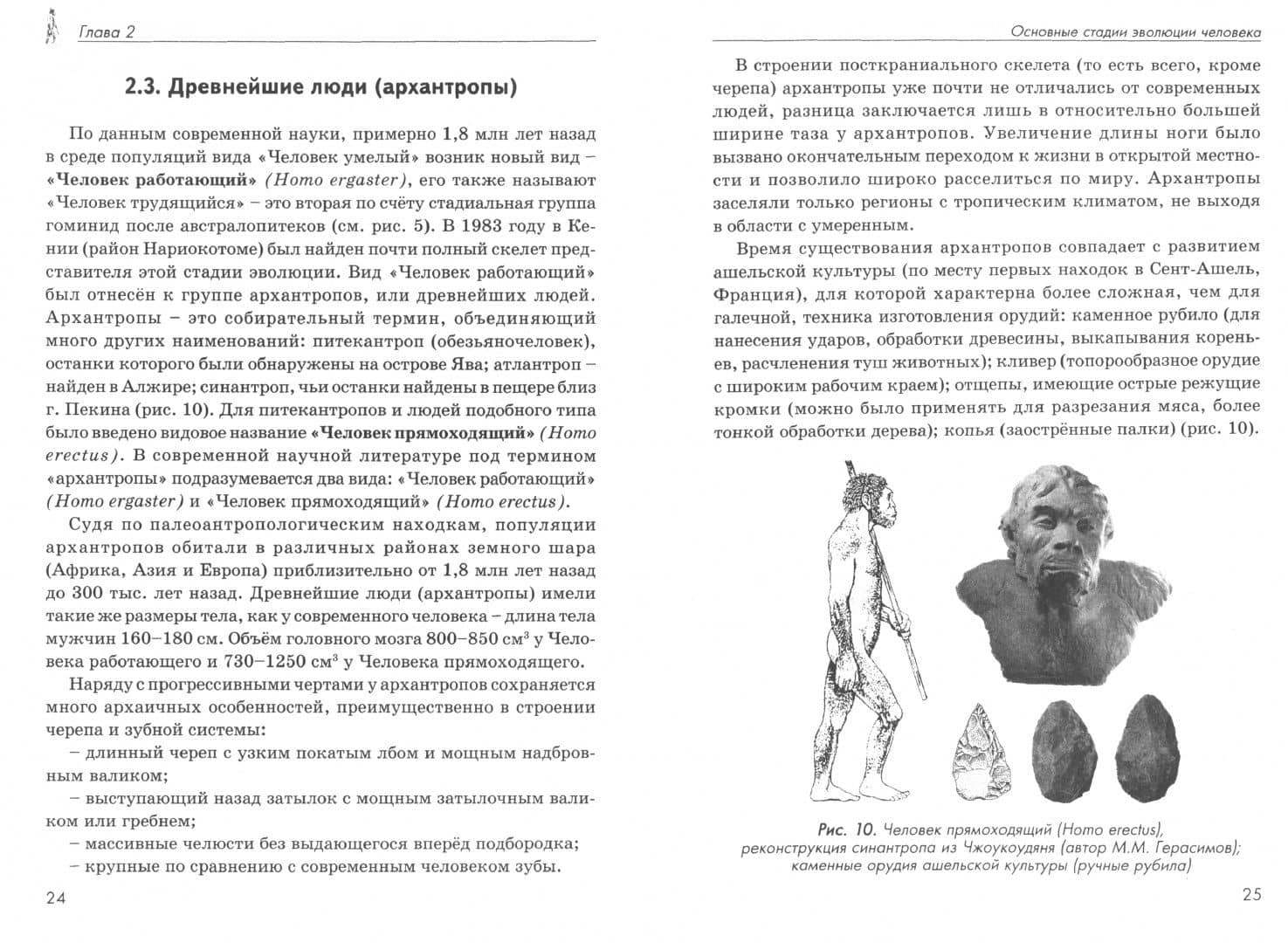 Происхождение человека. Просто о сложном. Учебное пособие — Станислав Владимирович Дробышевский (2)