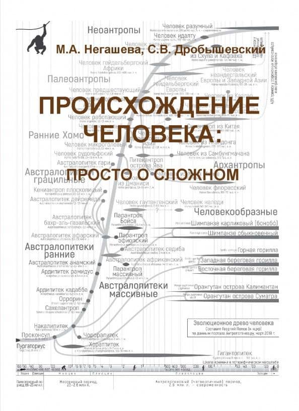 Происхождение человека. Просто о сложном. Учебное пособие — Станислав Владимирович Дробышевский