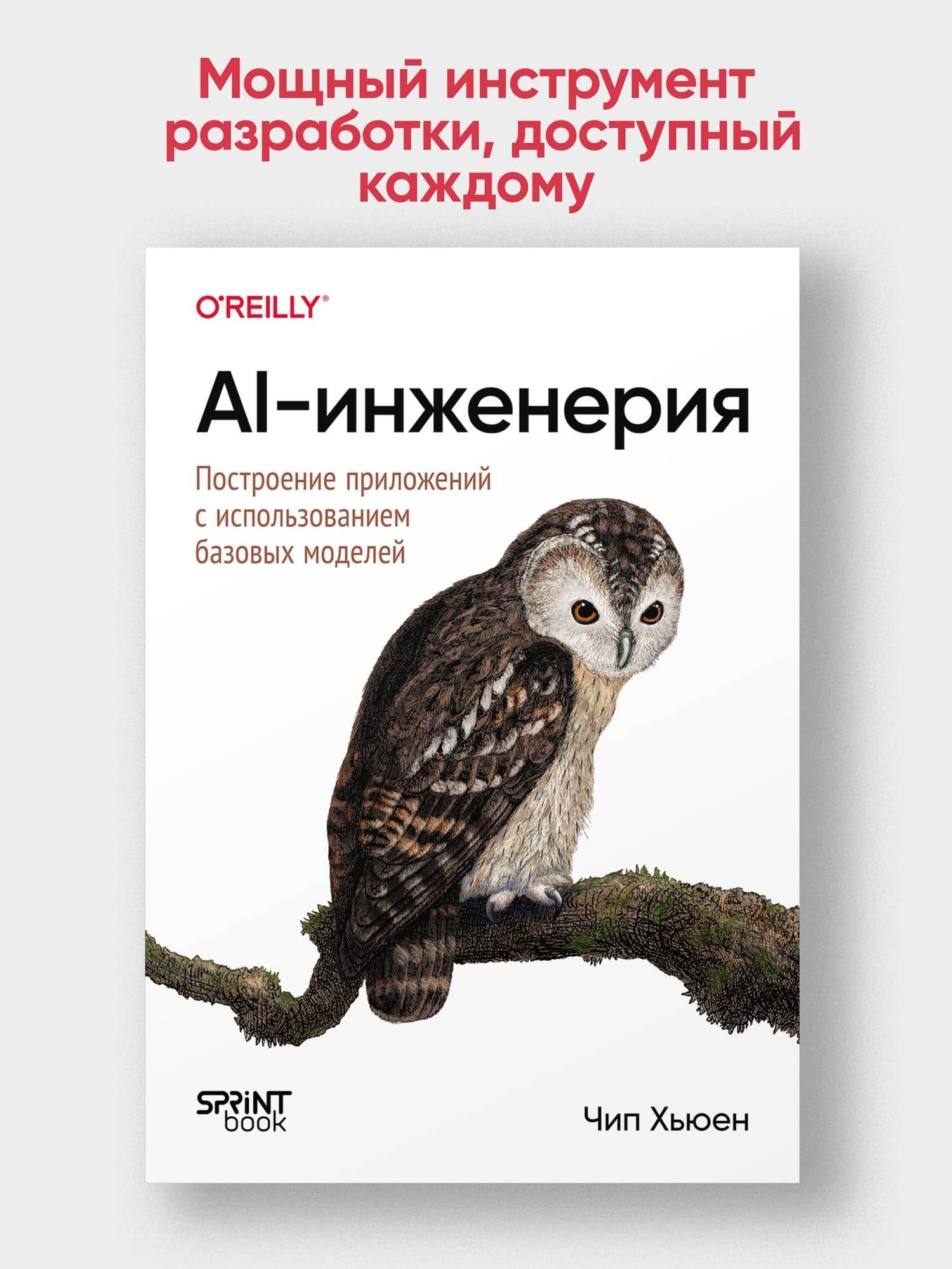 AI-инженерия. Построение приложений с использованием базовых моделей — Чип Хьюен (2)