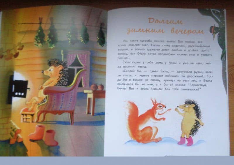 Ёжик и его друзья. Зимние сказки — Сергей Григорьевич Козлов (3)