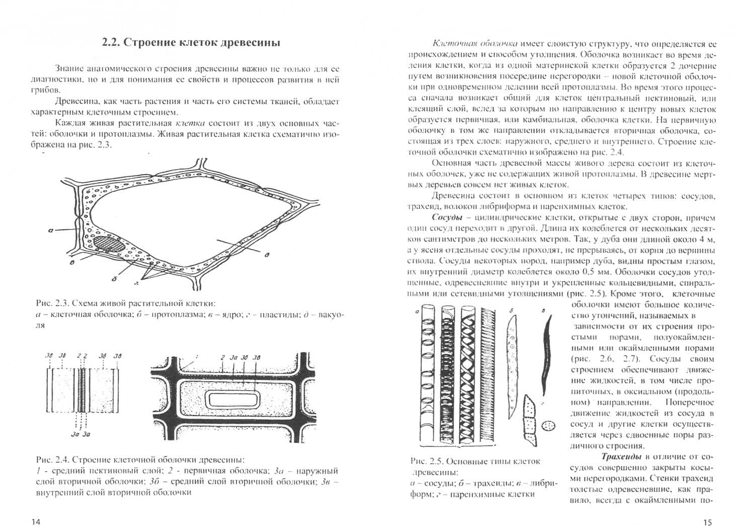 Защита древесины и деревянных конструкций. Учебное пособие — Елена Ивановна Стенина (2)