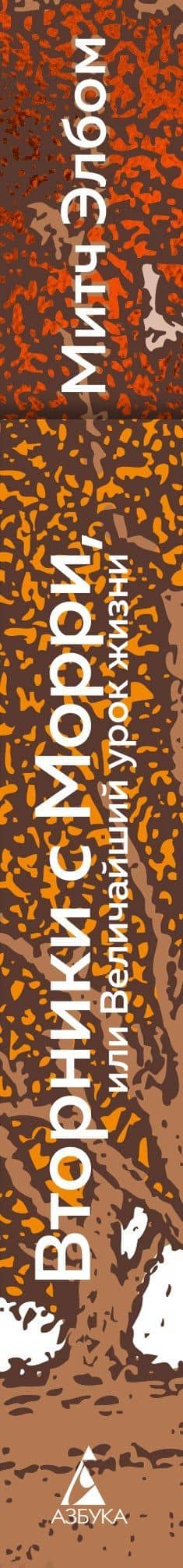 Вторники с Морри, или Величайший урок жизни — Митч Элбом (3)