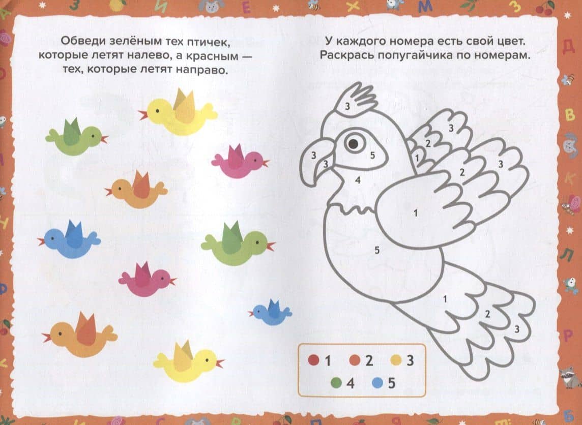 Развивающие задания для дошкольников. 4+ — Анна В. Савранская (2)