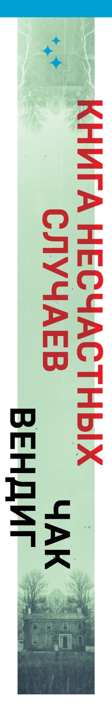 Книга несчастных случаев — Чак Вендиг (3)