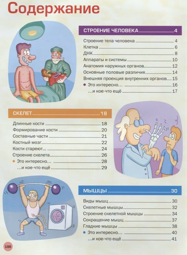 Большая иллюстрированная энциклопедия. Все о теле человека (2)
