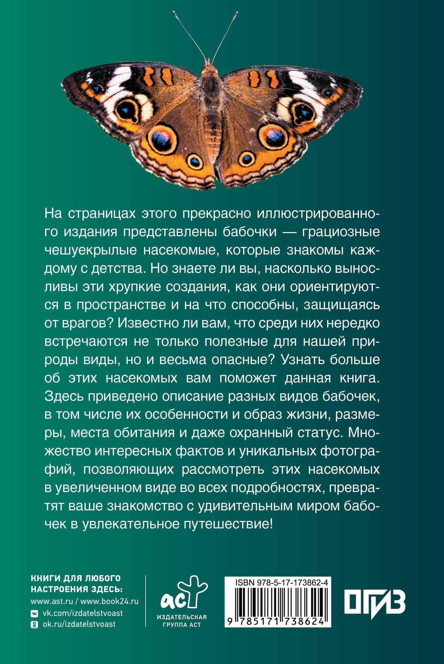 Бабочки. Иллюстрированный гид — Анна Артуровна Спектор (2)