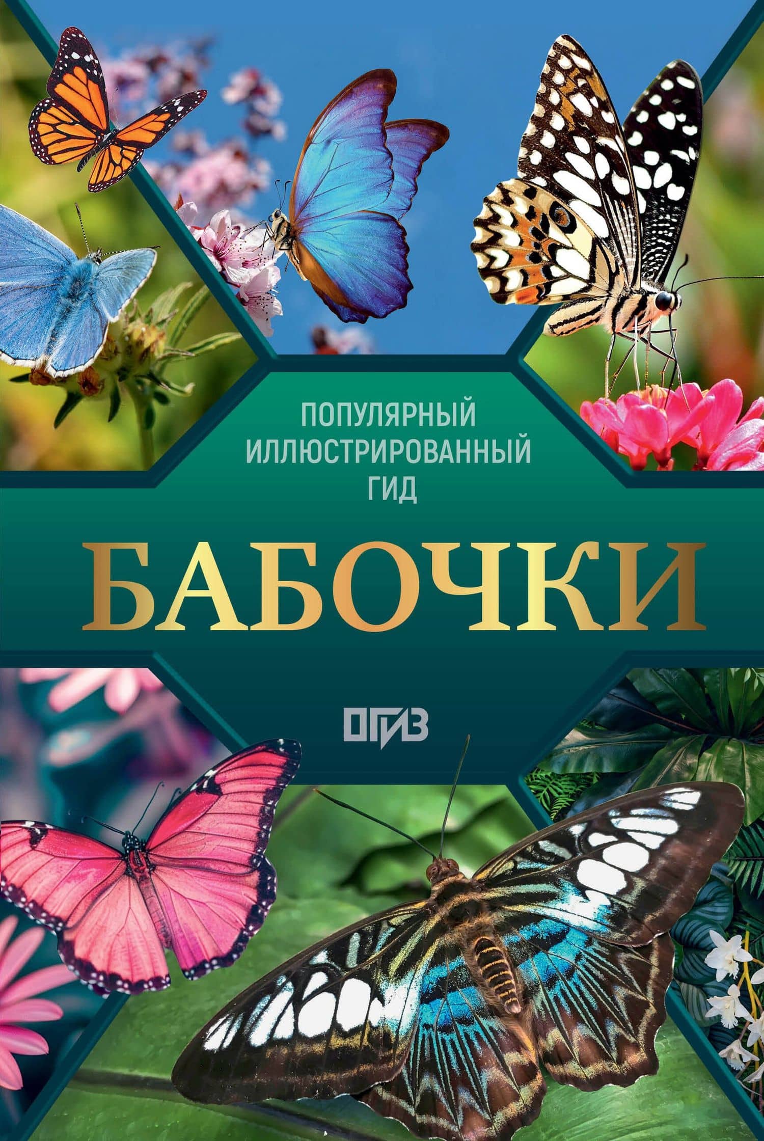 Бабочки. Иллюстрированный гид — Анна Артуровна Спектор