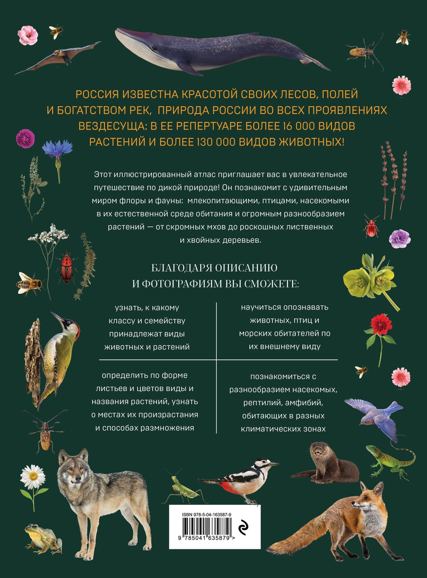 Атлас живой природы России. Полный иллюстрированный справочник — Алина Игоревна Ярощук (2)