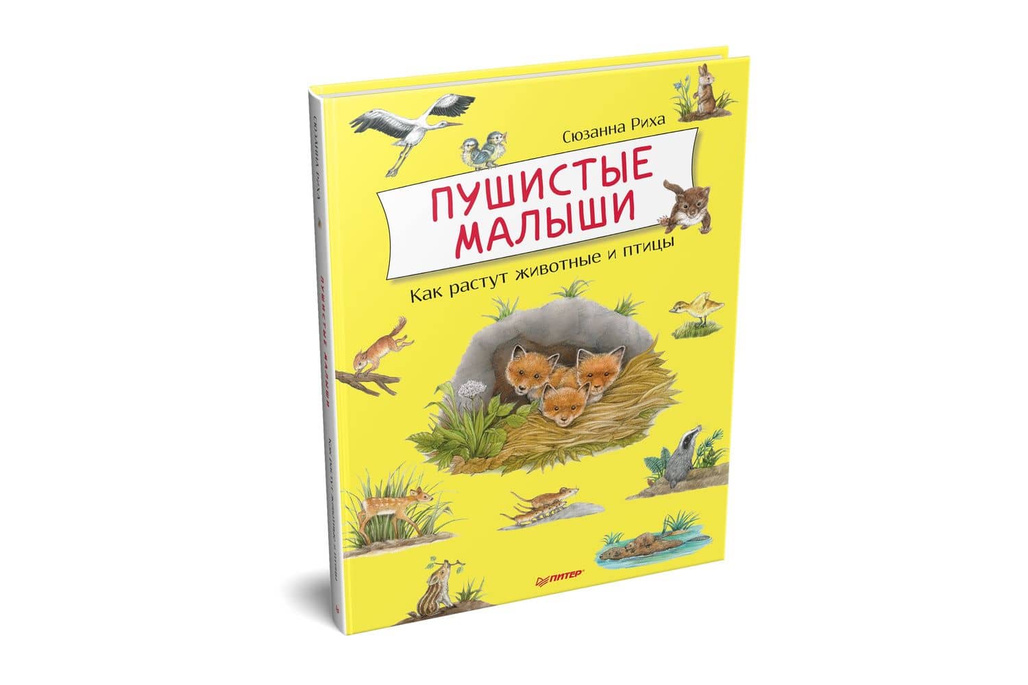 Пушистые малыши. Как растут животные и птицы — Сюзанна Риха (2)