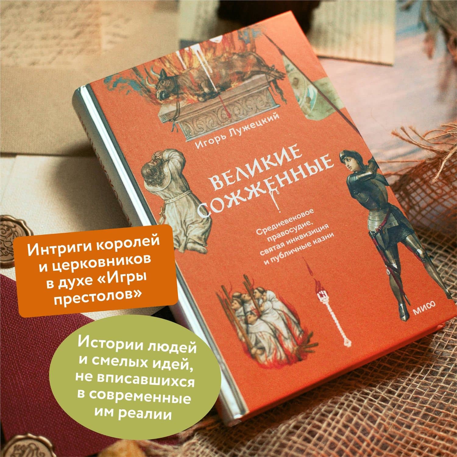 Великие сожженные. Средневековое правосудие, святая инквизиция и публичные казни — Игорь Геннадьевич Лужецкий (3)
