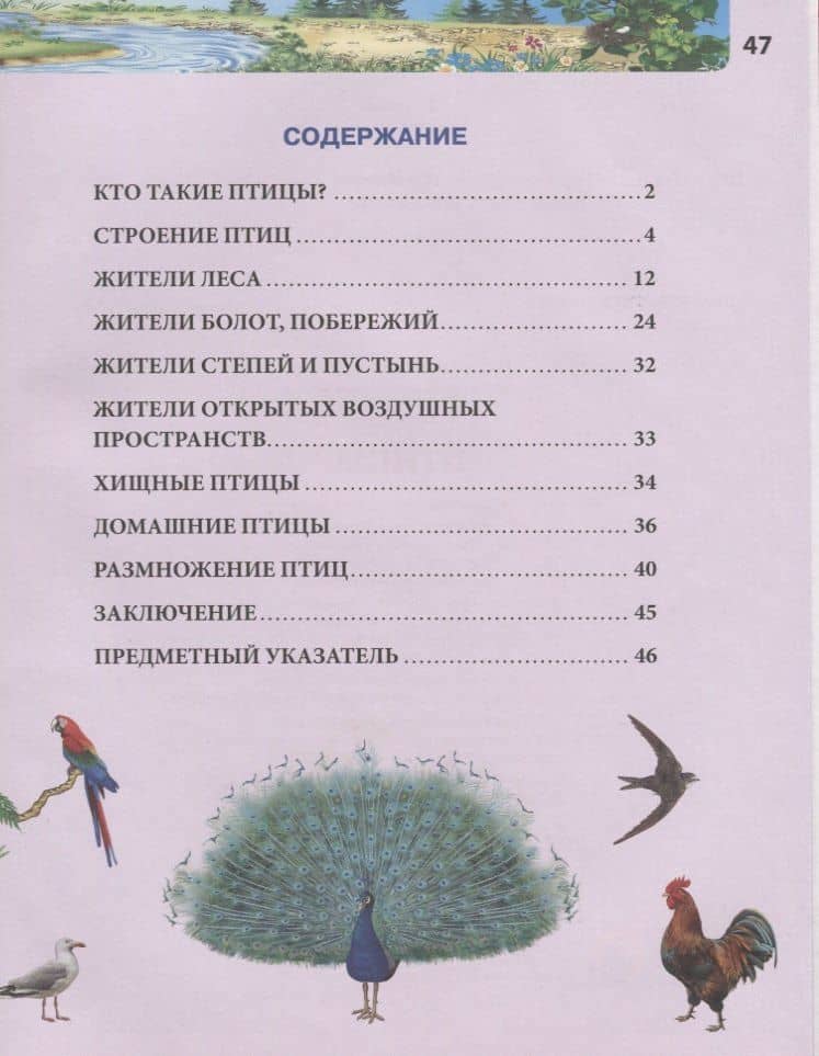 Птицы. Энциклопедия (2)