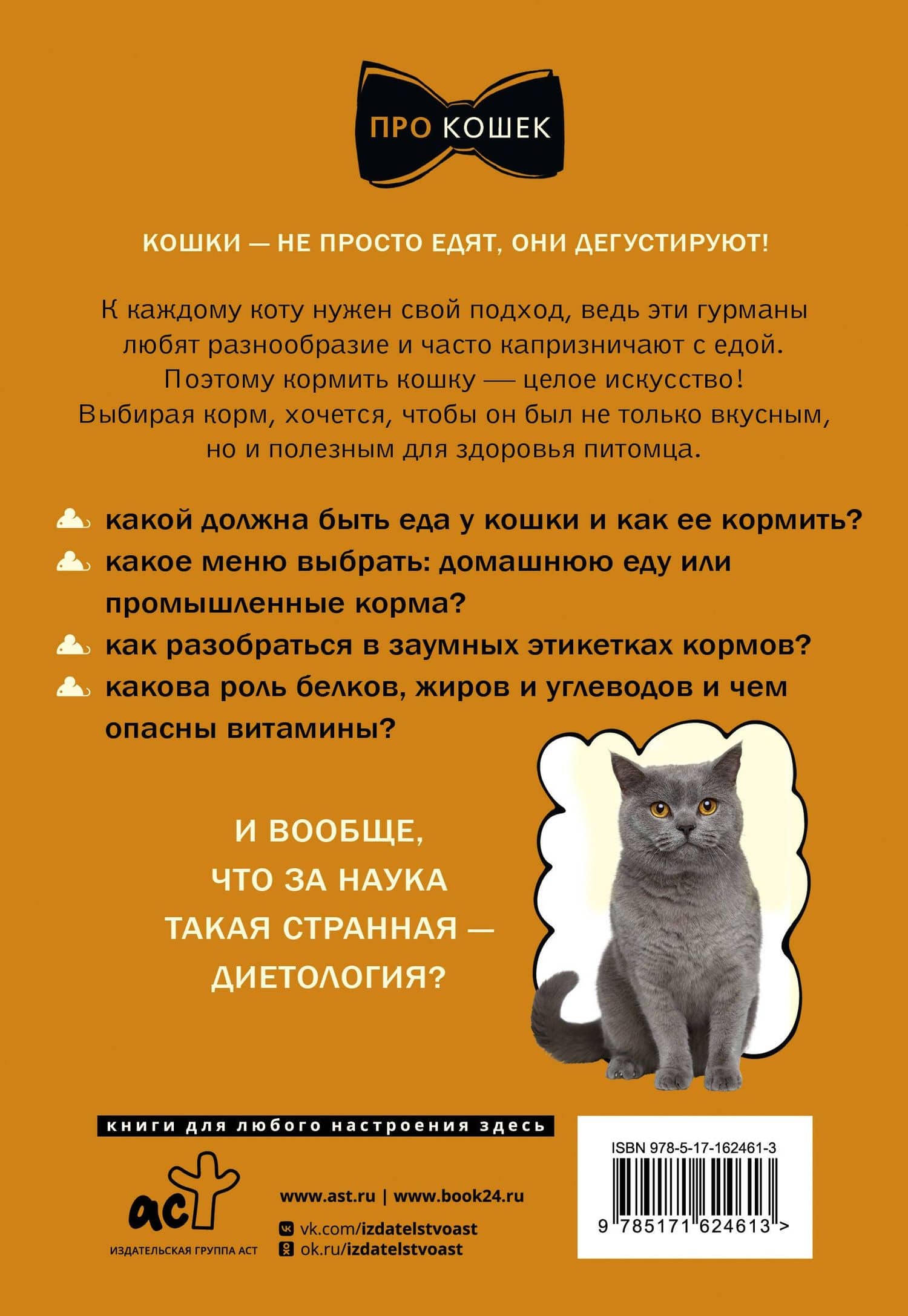 Чем и как кормить кошку, чтобы не навредить — Екатерина Алексеевна Нигова (2)