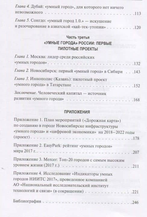 Умный город 21 века... (Василенко) — Ирина Алексеевна Василенко (3)