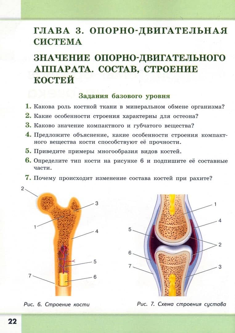 Биология. Человек и его здоровье. 8-9 классы. Сборник задач и упражнений — Евгений Николаевич Демьянков (2)
