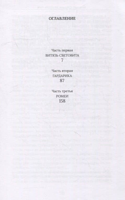 Вендская Русь: исторический роман — Никита Соколов (2)
