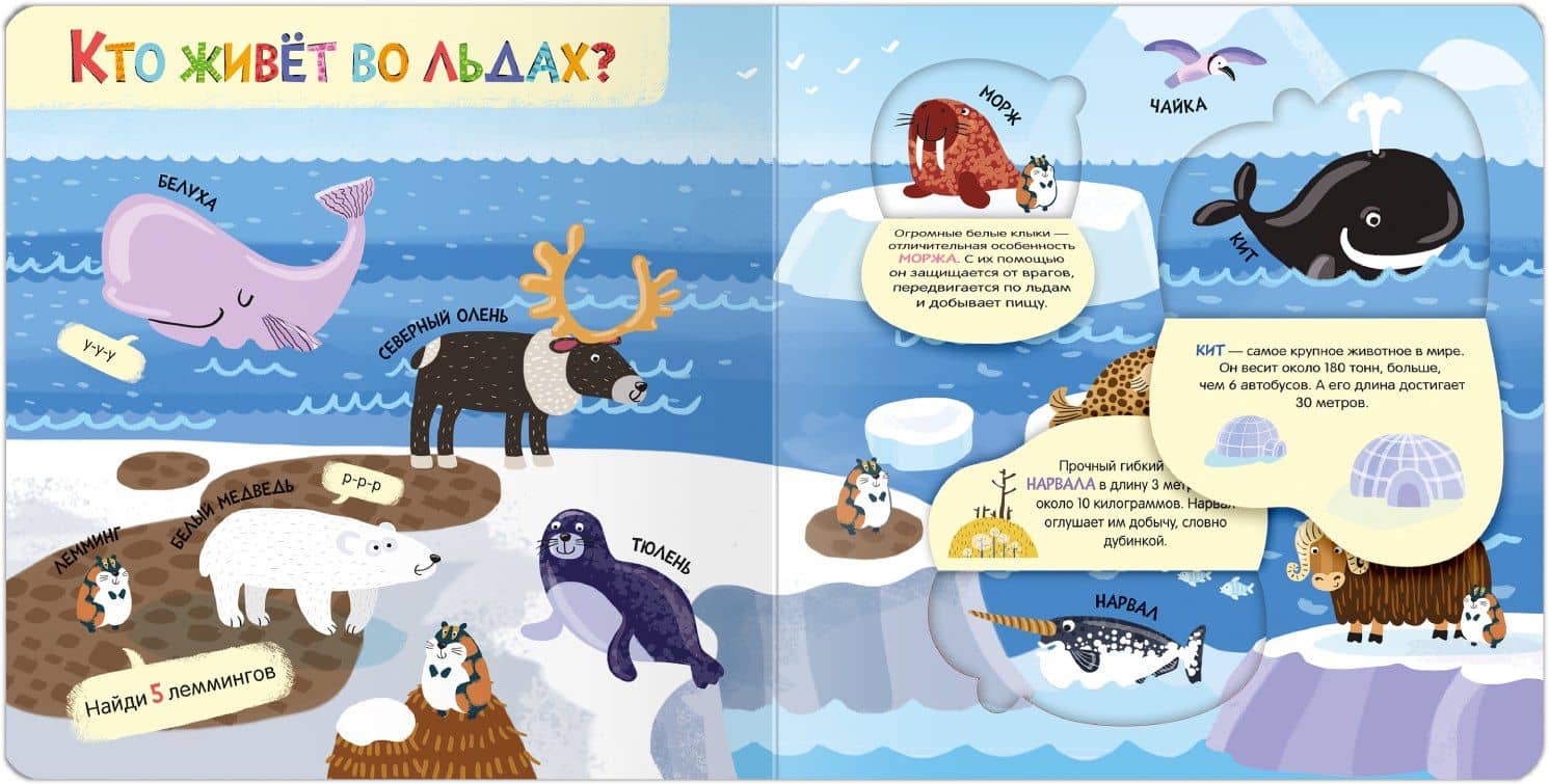Книжки с окошками. Мир животных (3)