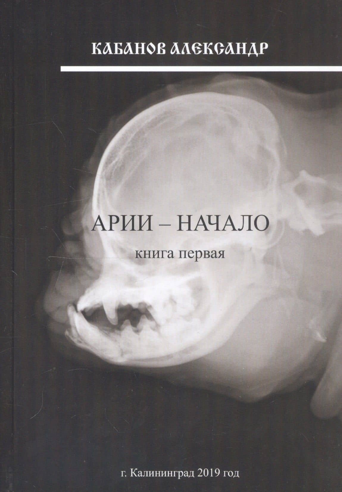 Арии - начало. Книга первая