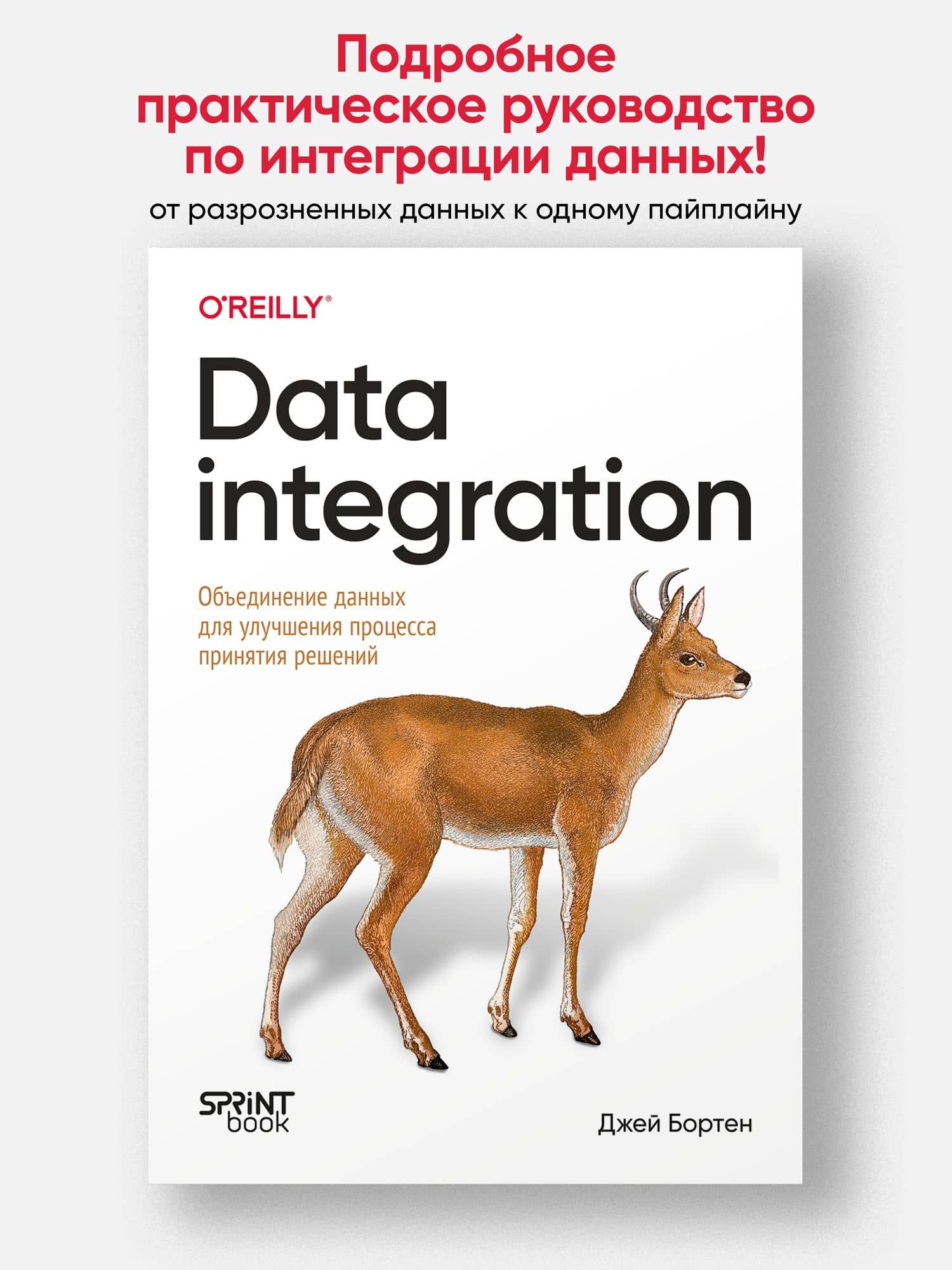 Data integration. Объединение данных для улучшения процесса принятия решений — Джей Бортен (2)