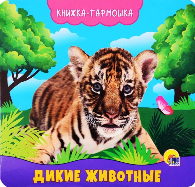 КНИЖКА-ГАРМОШКА. ДИКИЕ ЖИВОТНЫЕ — Анна Олеговна Купырина