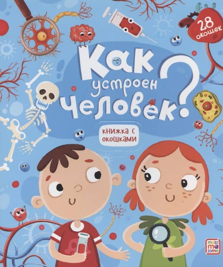 Как устроен человек (2)