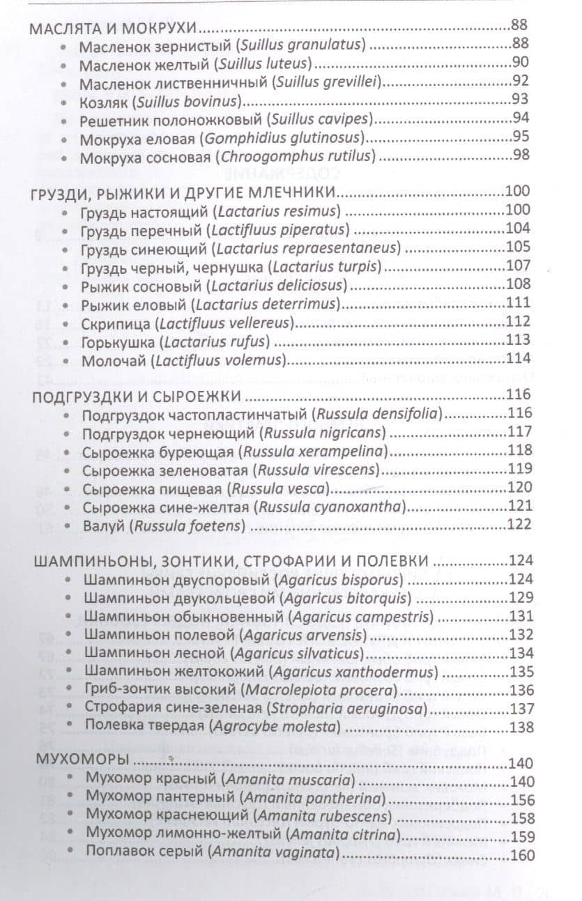 Лекарственные грибы России — Михаил Владимирович Вишневский (3)