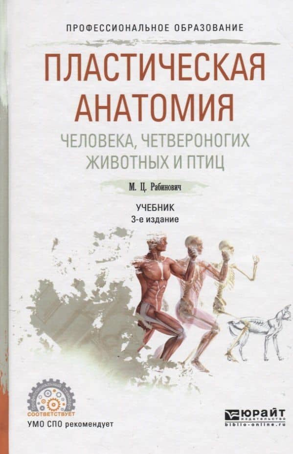 Пластическая анатомия человека, четвероногих животных и птиц 3-е изд., испр. и доп. Учебник для СПО — Михаил Цезаревич Рабинович