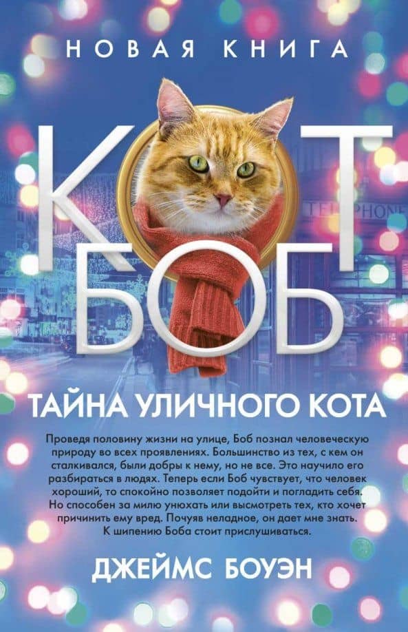 Тайна уличного кота — Джеймс Боуэн