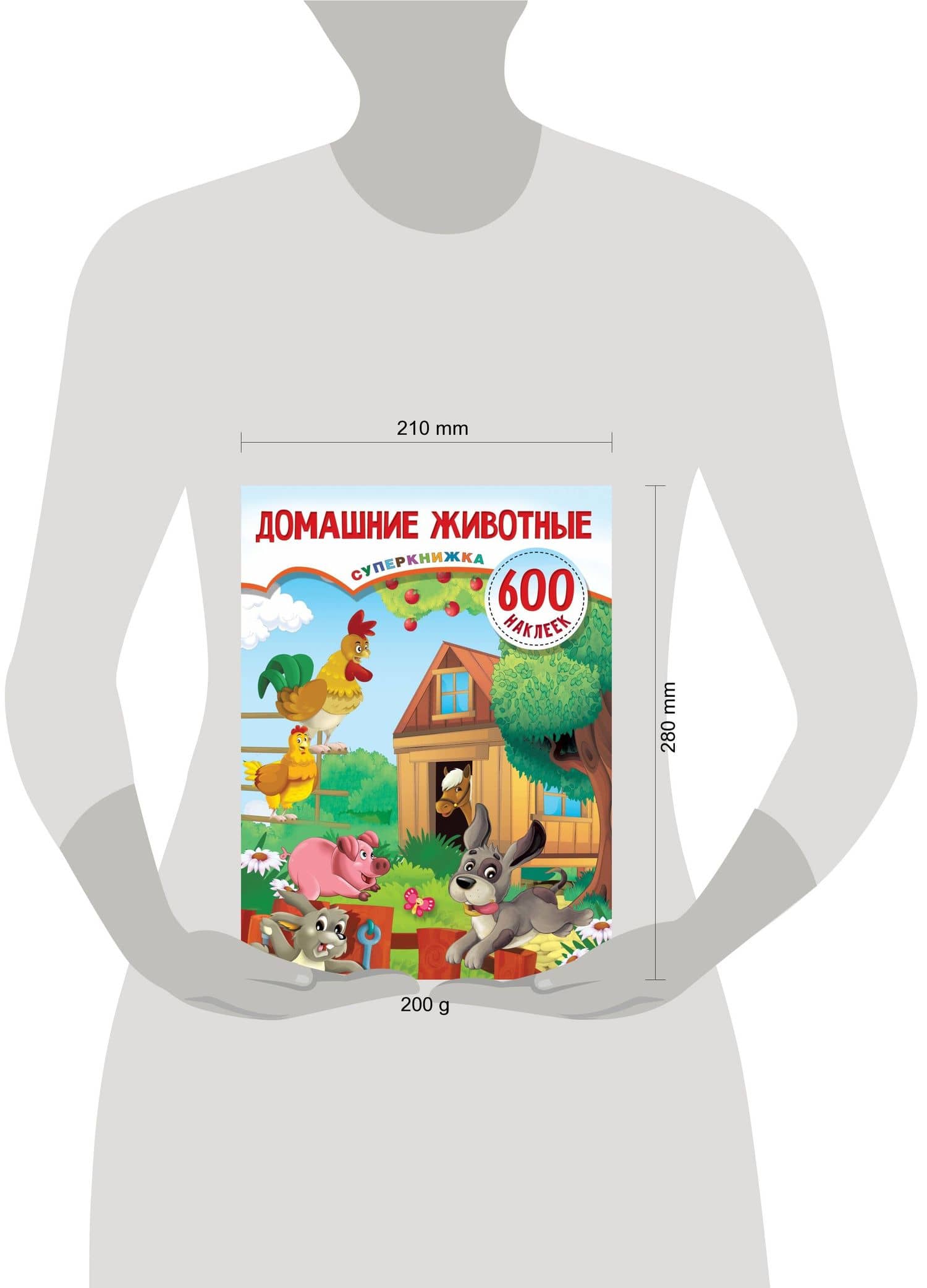 Домашние животные — Валентина Геннадьевна Дмитриева (3)