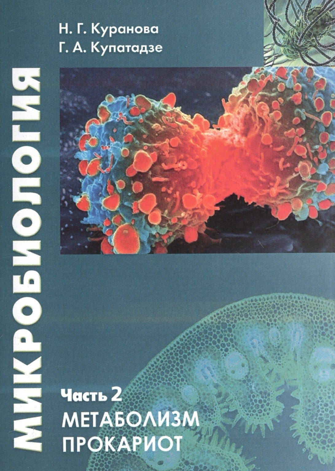 Микробиология. Часть 2. Прокариотическая клетка. Учебное пособие — Галина Александровна Купатадзе