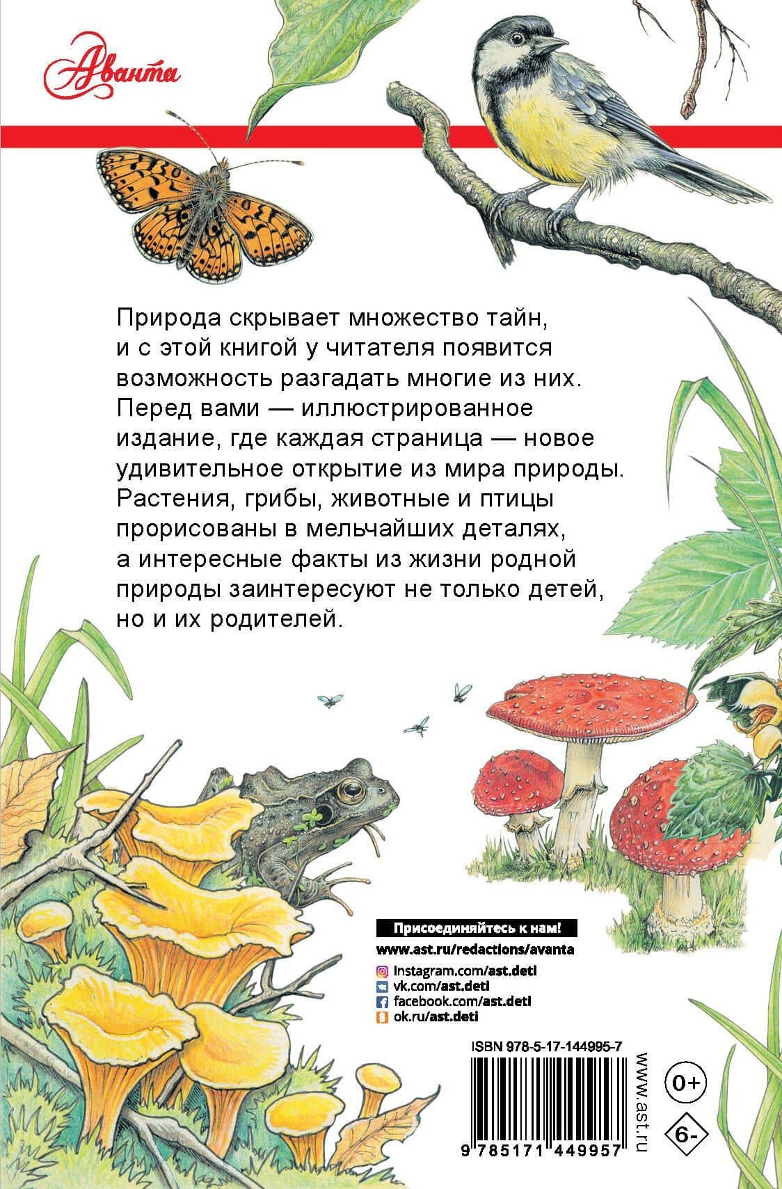 Секреты родной природы. Дневник маленьких открытий на каждый день — Джо Браун (2)