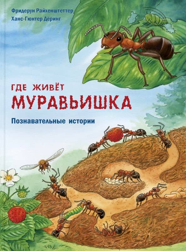 Где живёт муравьишка. Познавательные истории — Фридерун Райхенштеттер