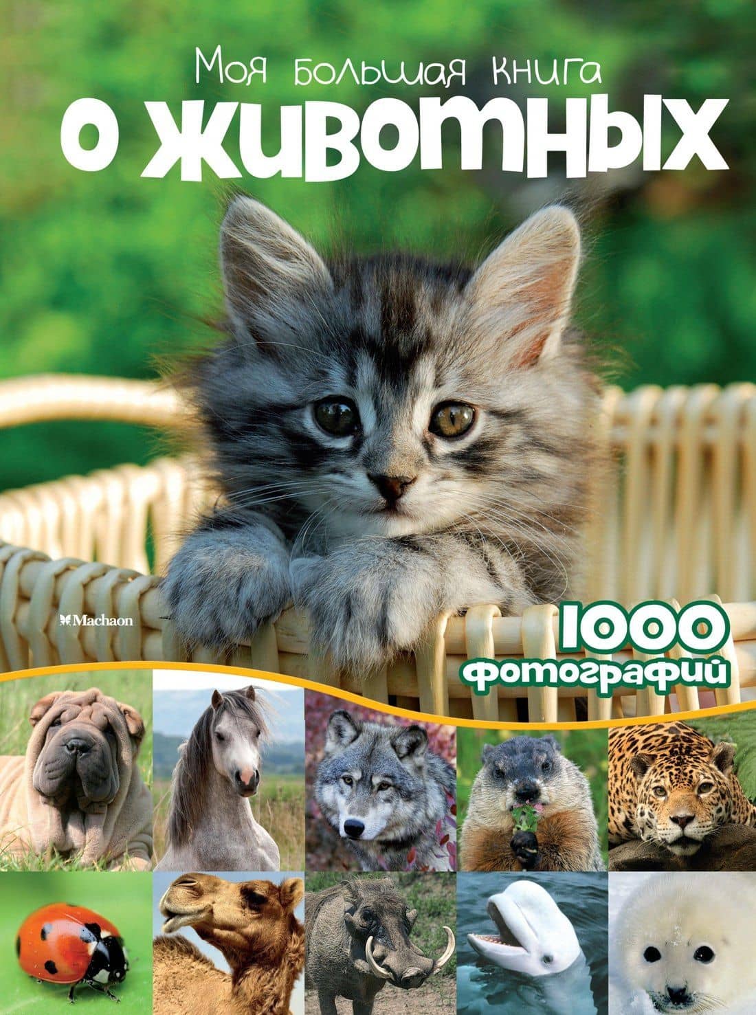 Моя большая книга о животных — Наталья Куйе