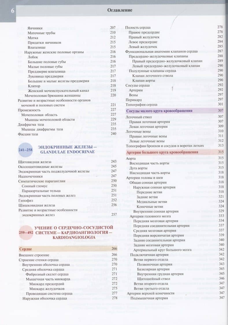 Атлас анатомии человека. В 3 томах. Том второй. Учение о внутренностях, эндокринных железах, сердечно-сосудистой и лимфоидной системах — Александр Яковлевич Синельников (3)