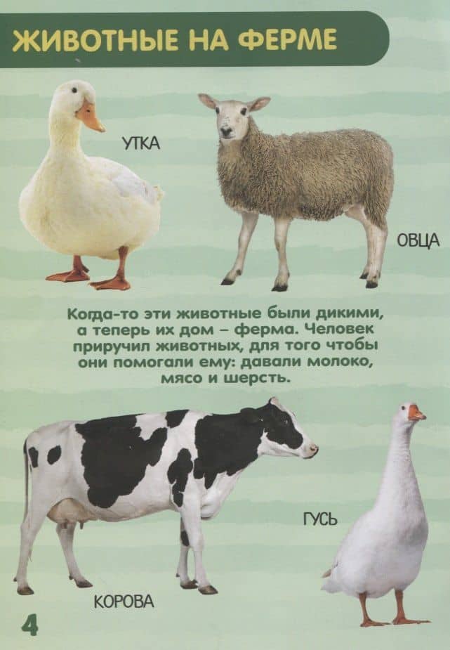 Набор книжек с наклейками №2. Комплект из 6 книг (2)