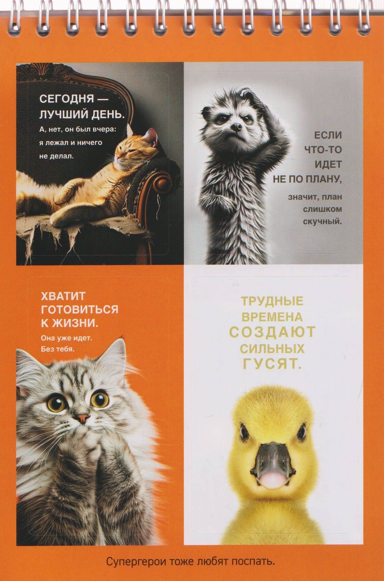 Дай себе год. И опять ничего не меняй. Стикербук с цитатами (3)