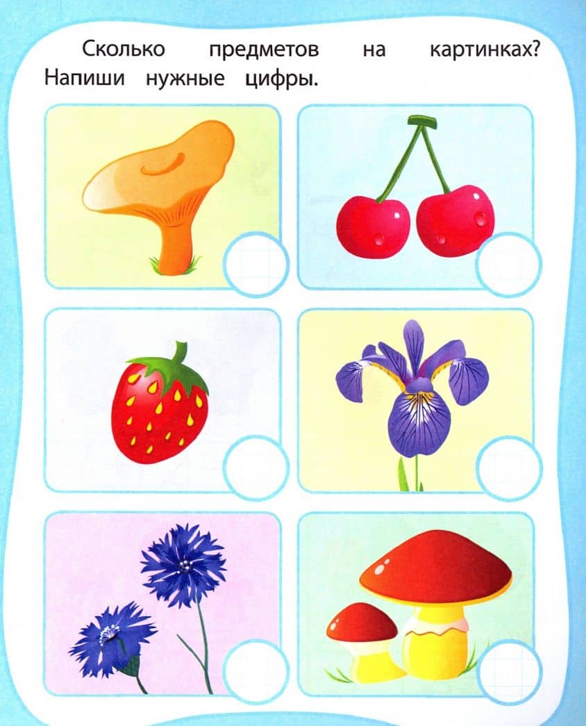Мои любимые прописи. Цифры и счет. Рабочая тетрадь дошкольника. ФГОС ДО — Евгения Сергеевна Ищук (3)