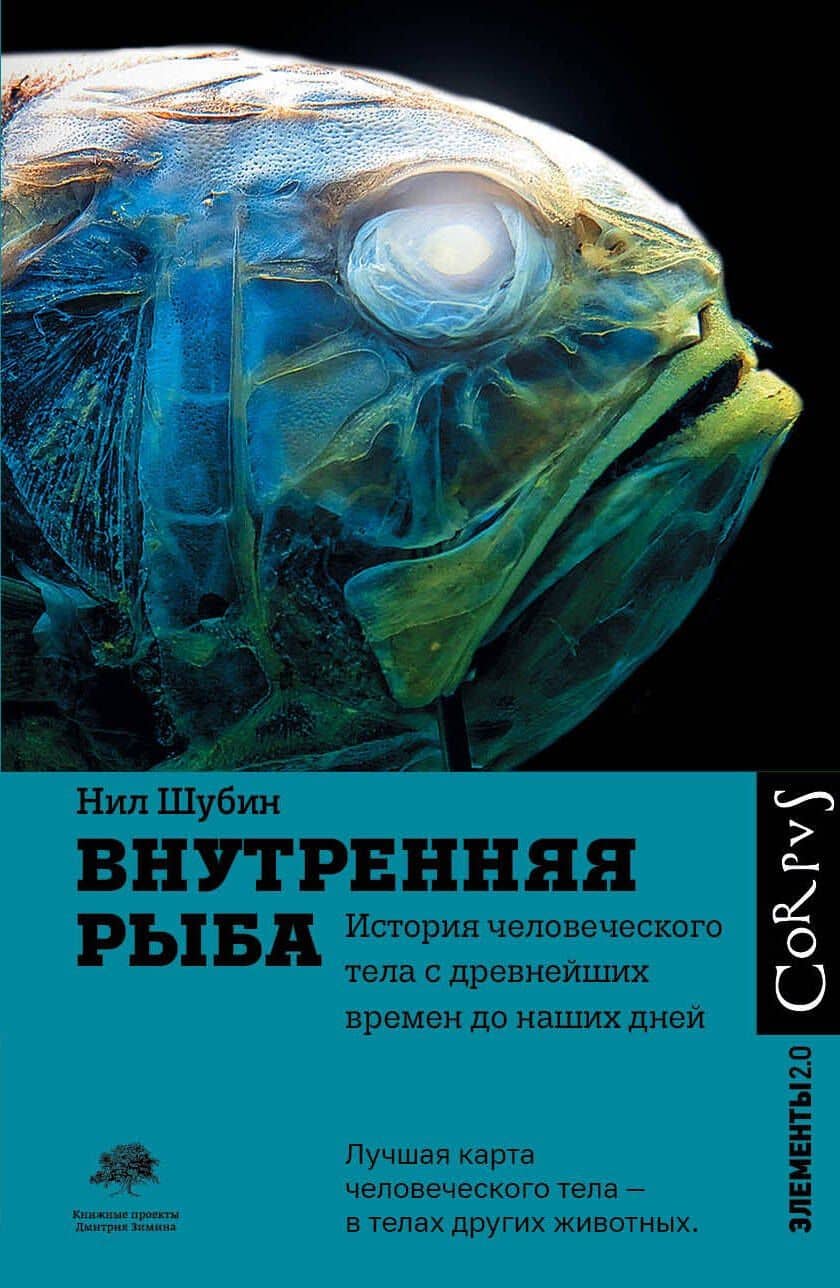 Внутренняя рыба. Исторя человеческого тела с древнейших времен до наших дней — Нил Шубин