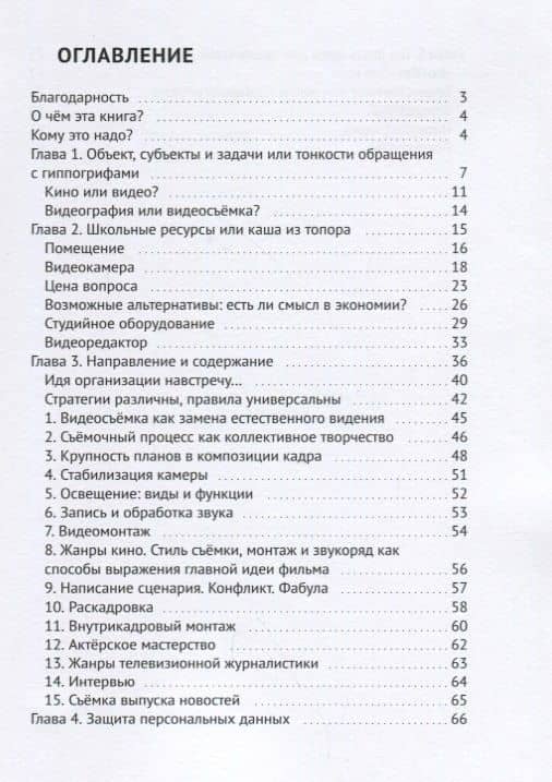 Школьная видеостудия камера мотор и творческий задор (м) Громова — Татьяна Владимировна Громова (2)