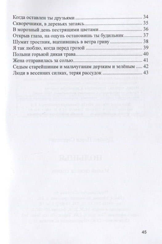 Полынья. Малый сборник стихов — Павел Сергеевич Пробин (3)