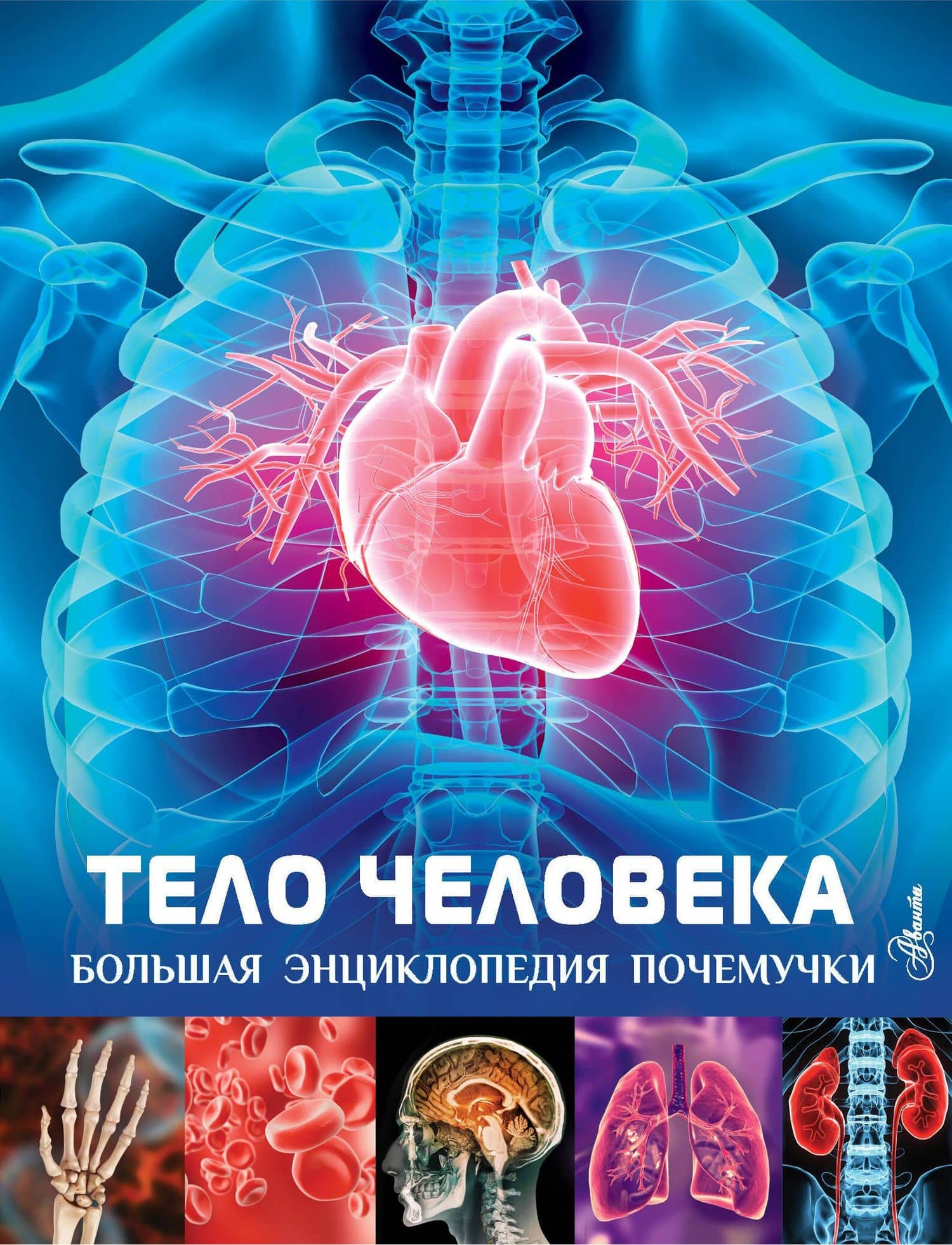 Тело человека — Клэр Хибберт
