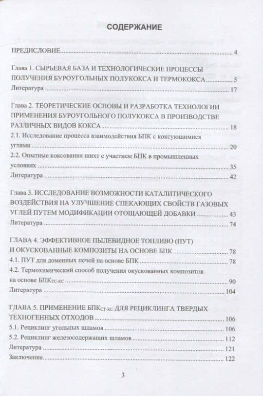 Основы теории и практики и использования буроугольного полукокса в технологических процессах и рециклинге твердых отходов — Марк Борисович Школлер (2)