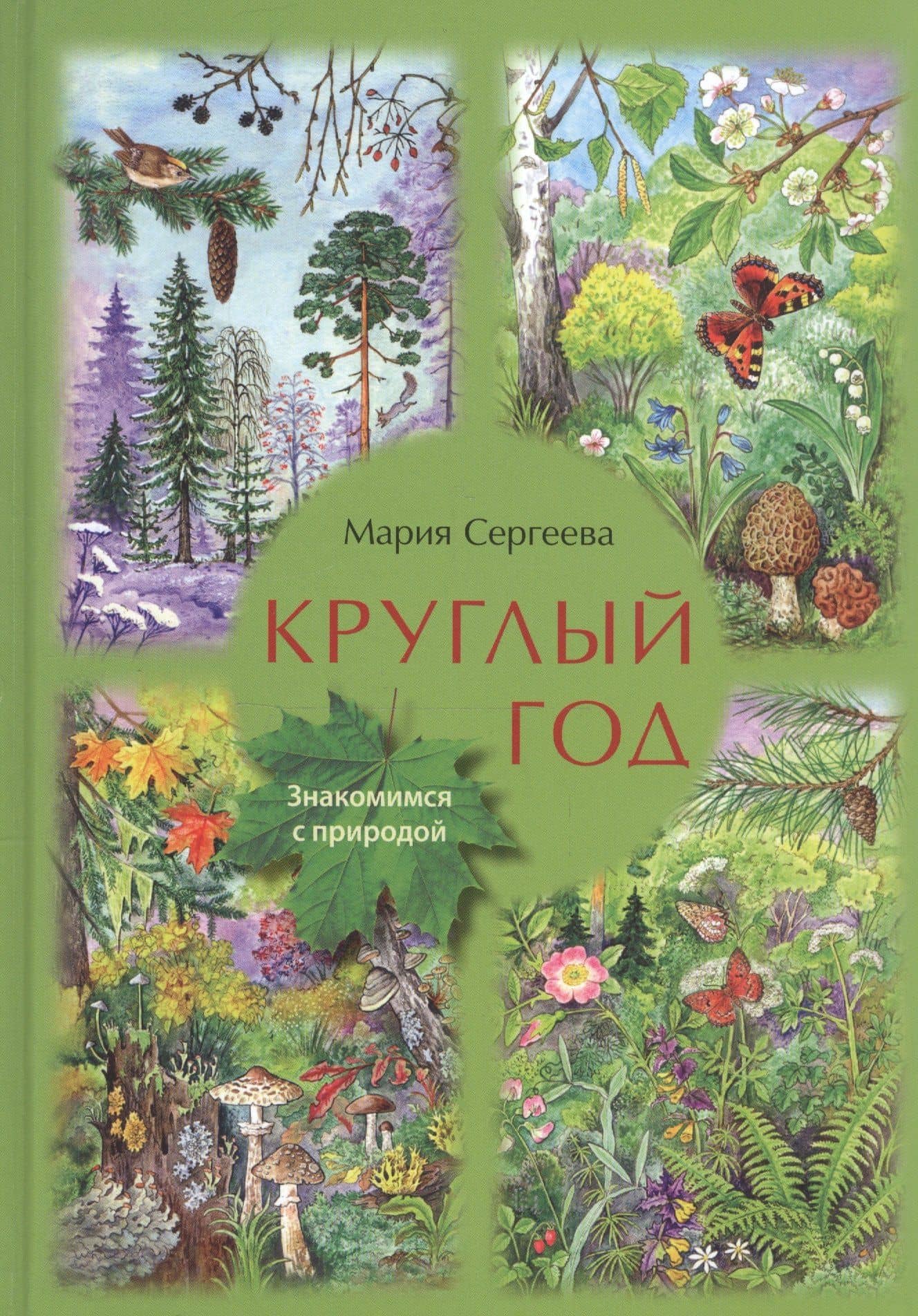Круглый год — Мария Сергеева