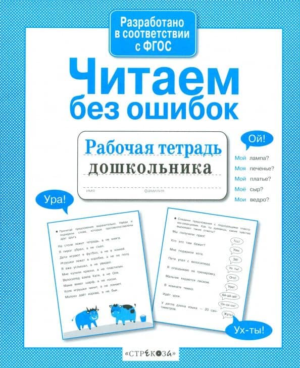Читаем без ошибок. Рабочая тетрадь дошкольника