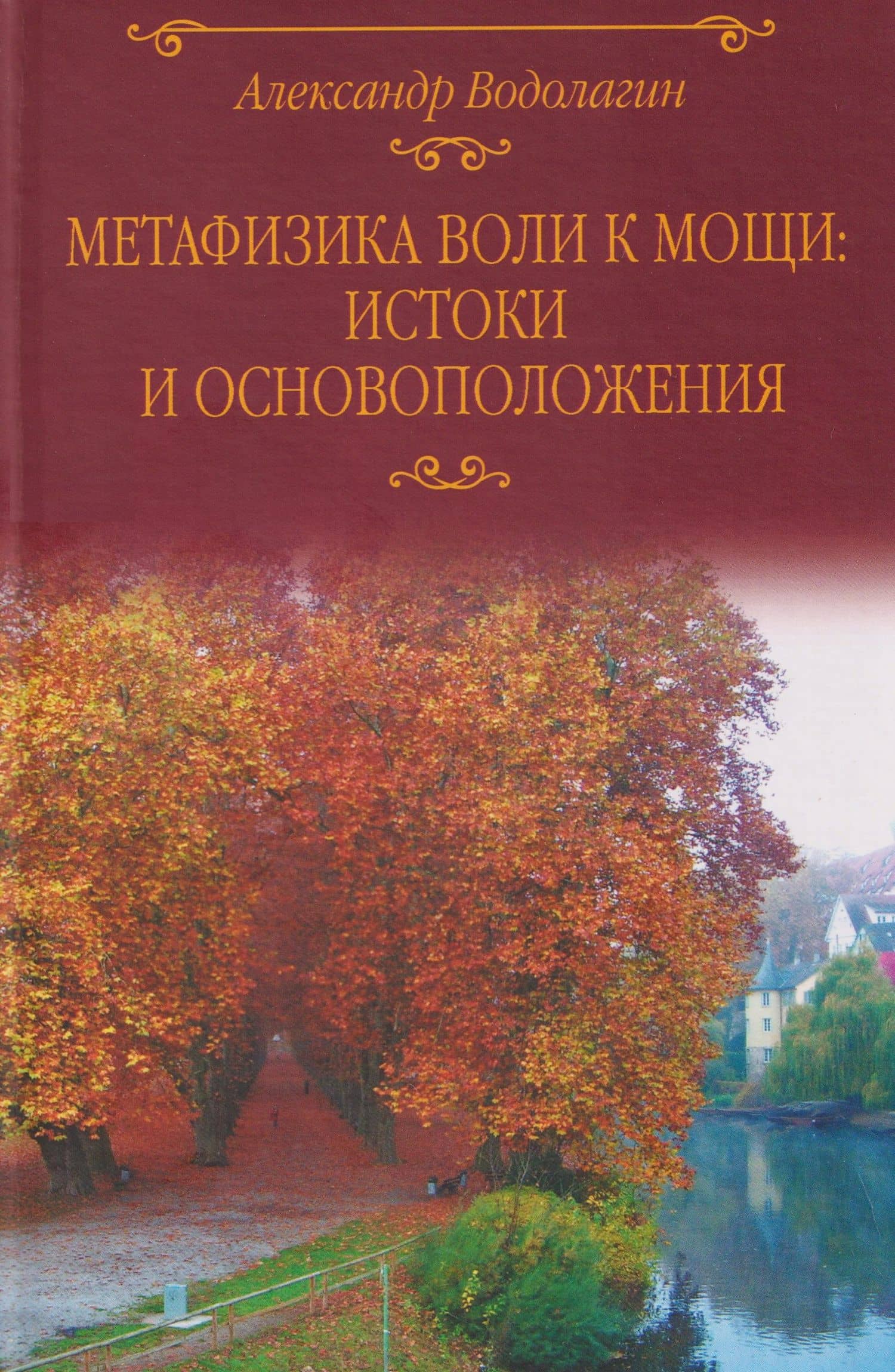Метафизика воли к мощи: истоки и основоположения — Александр Валерьевич Водолагин