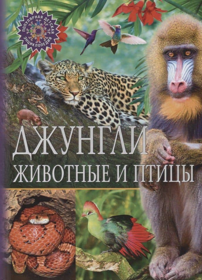 Джунгли.Животные и птицы