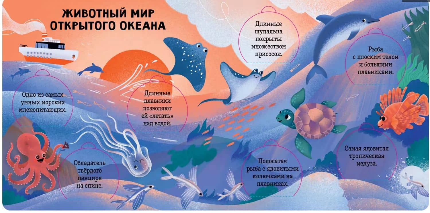 Океаны и моря. Энциклопедия с окошками (3)