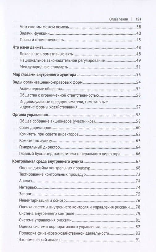 Внутренний аудитор. Инструкция: как стать своим — Никита Александрович Масюк (3)