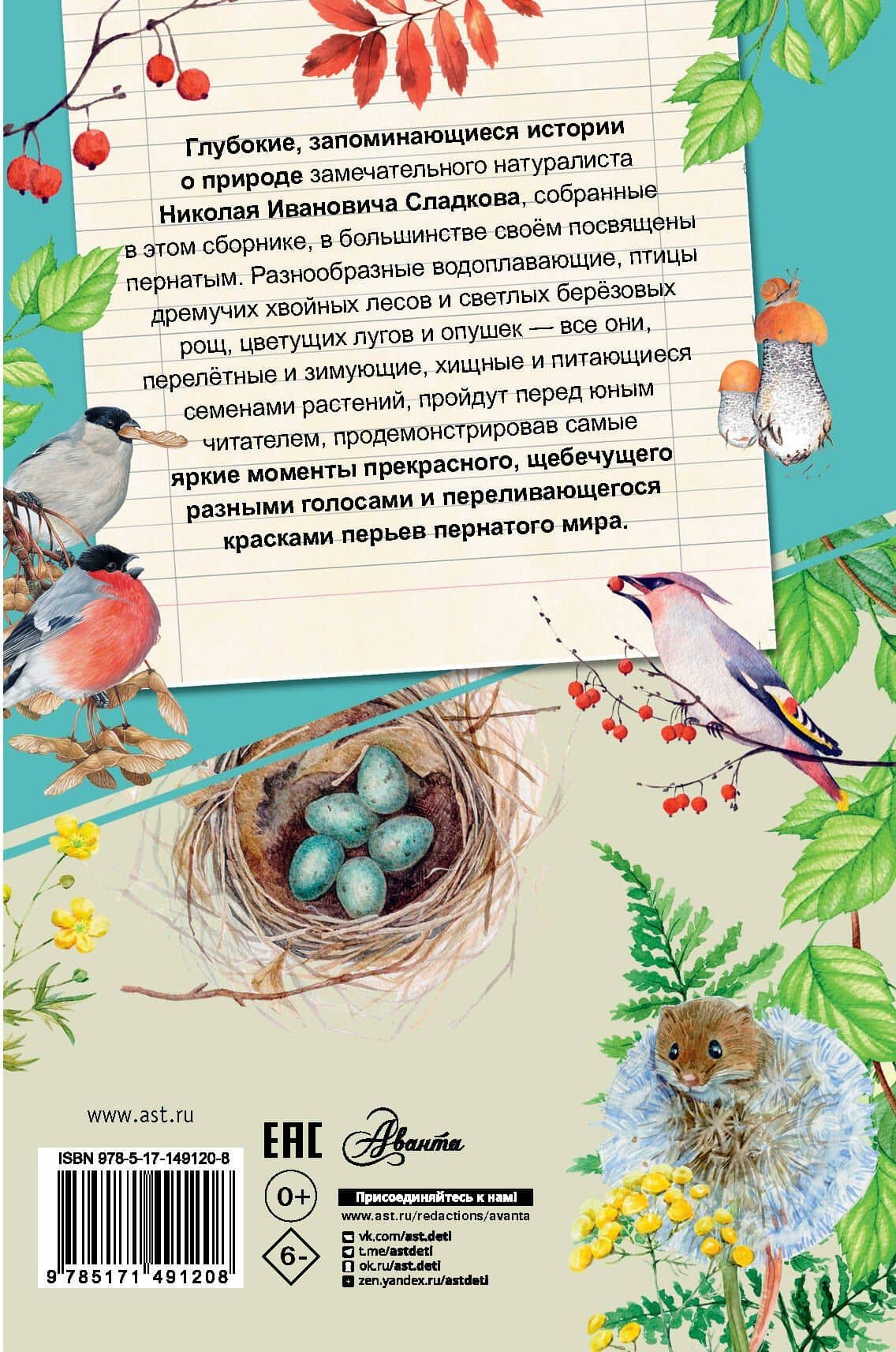 Бюро лесных услуг — Николай Сладков (2)