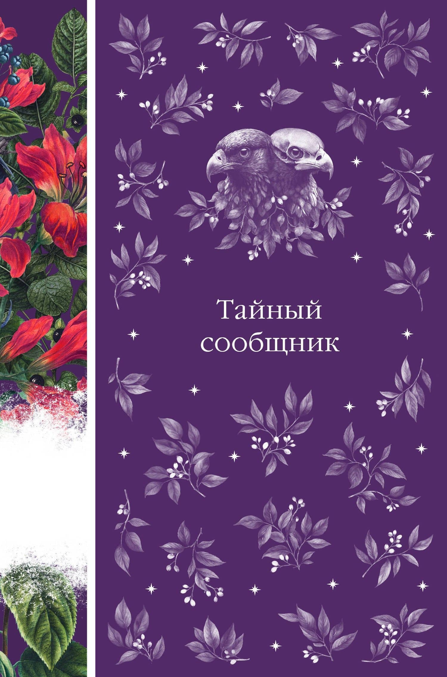 Тайный сообщник. Сборник рассказов зарубежных писателей — Эдгар Аллан По