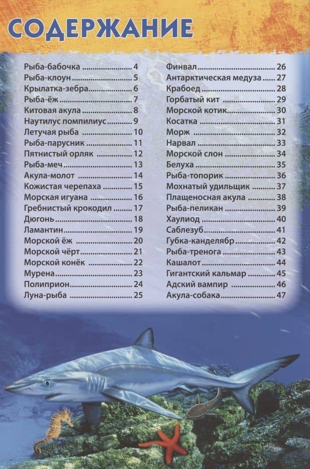 Подводный мир (2)
